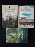 Fernando Pessoa &ndash; Opera poetica. Poezia ortonima. Cartea nelinistirii (3 vol.)