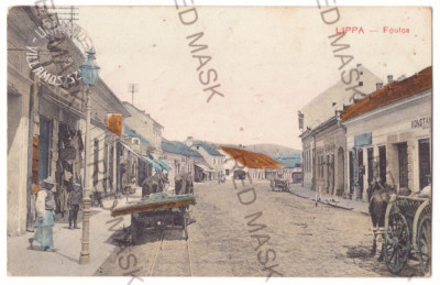 3695 - LIPOVA, Arad, Street Stores - old postcard, RED CROSS - used - 1908 foto