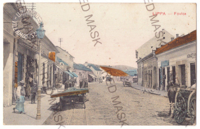 3695 - LIPOVA, Arad, Street Stores - old postcard, RED CROSS - used - 1908