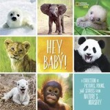 Hey, baby!