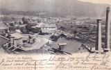 Salutari din Romania. Busteni. Vedere Generala (circulata 1904)