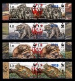 TAJIKISTAN 2019 WWF FAUNA PROTEJATA PISICI SALBATICE SUPRATIPAR ROSU