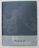 MARELE ATLAS ILUSTRAT AL CORPULUI UMAN - BEVERLY MCMILLAN * COTOR RESTAURAT * MINIMA UZURA A COPERTEI
