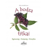A bodza titkai - Eg&eacute;szs&eacute;g, sz&eacute;ps&eacute;g, konyha - Ellen Heidb&ouml;hmer