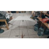 Unbrella alba