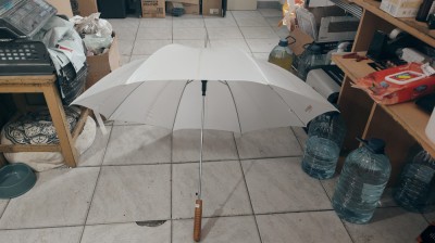 Unbrella alba foto