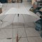 Unbrella alba