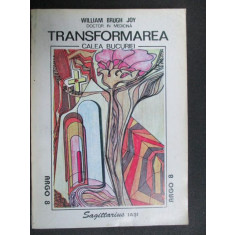 Transformarea, calea bucuriei William Brugh Joy