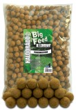 Haldorado - C21 Boilie 2Kg - Alune Tigrate