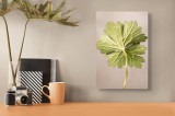 Tablou Canvas, "Frumusețea simetriei naturale ascunse", Frunză, Verde, Plante, Natură, Simetrie, Textură, Detaliu, Delicat, Tulpină, Model, 26 x 39 cm