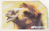 bnk card Cartele telefonice - Italia - fauna - camila