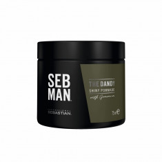 SEB MAN THE DANDY Ceara pomada cu fixare lejera 75ml foto