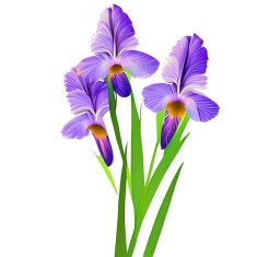 Sticker decorativ, Flori, Mov, 90 cm, 10524ST foto