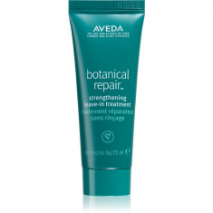 Aveda Botanical Repair™ Strengthening Leave-in Treatment Tratament pentru intarirea firului de par ce nu necesita clatire pentru par deteriorat 25 ml