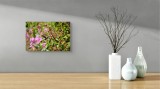 Tablou Canvas, "Colibri printre flori colorate vibrant", Flori, Frunze, Hummingbird, Verde, Roz, Miscare, Natural, Vibrant, Gradina, Primavara, 39 x 2
