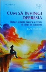 Jan Marsh - Cum sa invingi depresia. Sfaturi simple pentru a reveni la viata de
