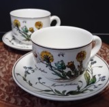 Set 2 cești cu farfurioare Villeroy and Bosch, Botanica