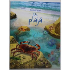 PE PLAJA , seria &#039;&#039; DESCOPAR LUMEA &#039;&#039; , text de EMILY BONE , ilustratii de CINZIA BATTISTEL , 2020