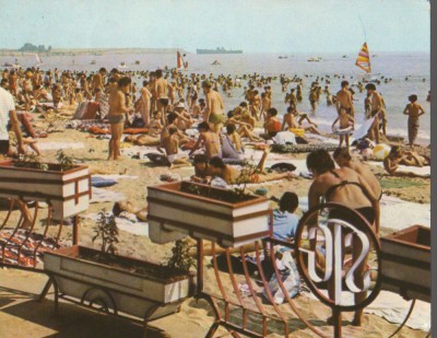 CPI B14768 - CARTE POSTALA - COSTINESTI. PLAJA foto