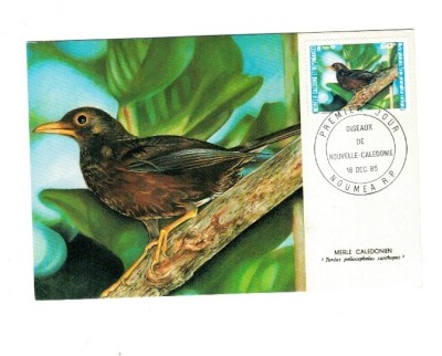 Noua Caledonie 1985 - Păsări, maxima foto