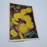 Cumpara ieftin CARTE POSTALA FELICITARE RUSEASCA NECIRCULATA
