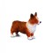 Corgi - Collecta