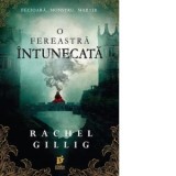 O fereastra intunecata - Loredana Voicila, Rachel Gillig