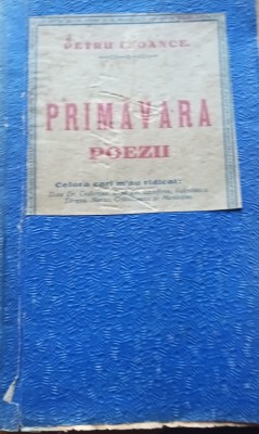 PRIMAVARA PETRU E OANCE BANAT foto