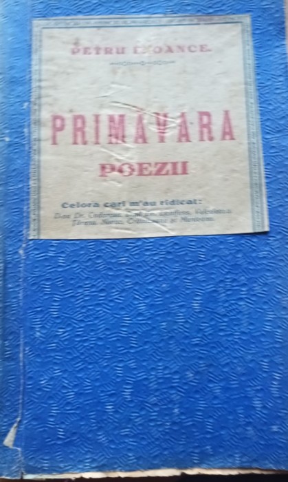 PRIMAVARA PETRU E OANCE BANAT