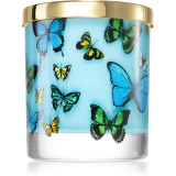 Castelbel Portus Cale Butterflies lum&acirc;nare parfumată 210 g