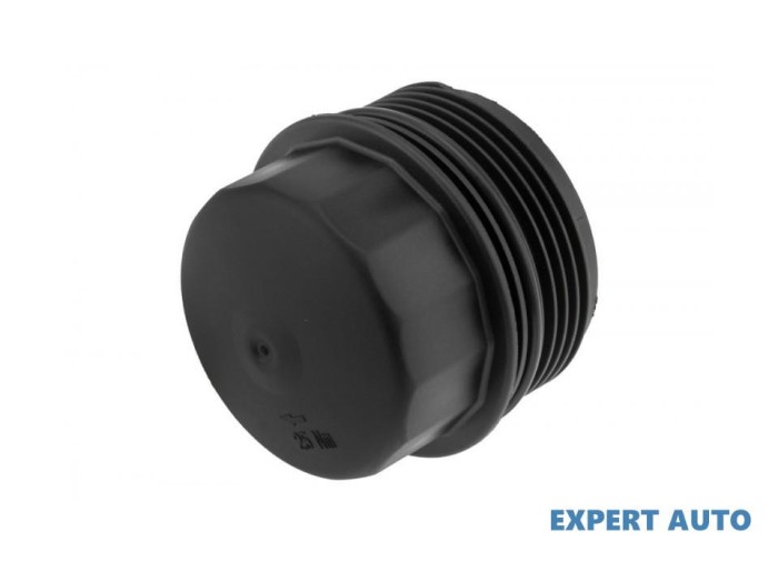 Capac filtru ulei BMW X1 (2009-&gt;) [E84]) [E81, E87] #1
