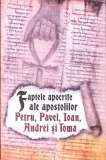 FAPTELE APOCRIFE ALE APOSTOLILOR PETRU, PAVEL, IOAN, ANDREI SI TOMA-WALTER FOTESCU-361031