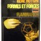 Formes et forcesDe l &aacute;tome a Rembrandt