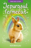 Cumpara ieftin Iepurașul fermecat. Visuri de vacanță