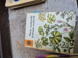 Plante medicinale in terapia moderna vintage
