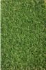 JAKARTA, Covor Gazon Iarba Artificiala, Verde, 20 mm, Latime 1 m - 100x1500