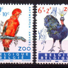 BELGIA 1962, Fauna, Pasari, serie neuzata, MNH