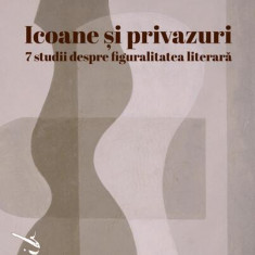 Icoane și privazuri. 7 studii despre figuralitatea literară - Paperback brosat - Ioana Bot - Casa Cărţii de Ştiinţă