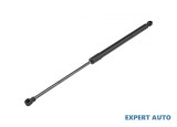 Telescop hayon Citroen C3 II 2009-2016 #1