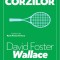 Teoria corzilor David Foster Wallace