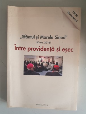 &amp;Icirc;ntre providență și eșec &amp;ndash; SFANTUL SI MARELE SINOD - carte-document foto