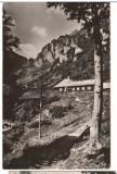 CPIB 15649 CARTE POSTALA - MUNTII BUCEGI. CABANA &quot;MALAESTI&quot;, RPR