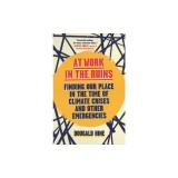 At Work in the Ruins: Finding Our Place in the Time of Climate Crises and Other Emergencies