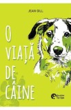 O viata de caine - Jean Gill