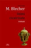 Inimi cicatrizate | Max Blecher, Cartex