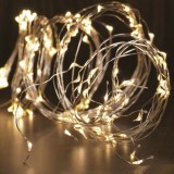 Ghirlanda micro LED-uri alb cald, cablu alama, interior/exterior - 1.9m, Home