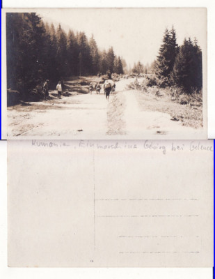 Gelence, Ghelinta (Covasna ) -WWI,WK1-militara,rara foto