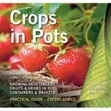 Crops in Pots: Practical Guide, Expert Advice
