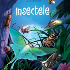 Insectele, Emily Bone - Editura Univers Enciclopedic