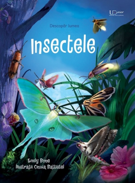 Insectele, Emily Bone - Editura Univers Enciclopedic